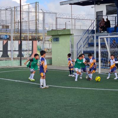 Imagen 1