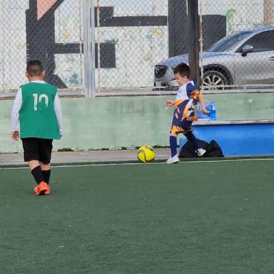 Imagen 6