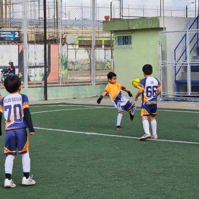 Imagen 8